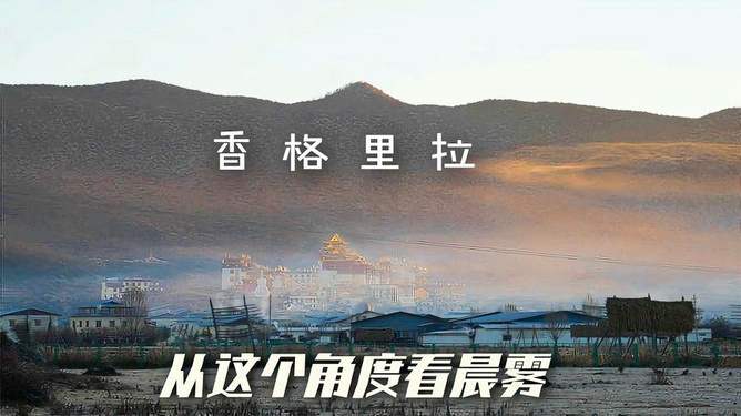 晨雾中的探秘之旅