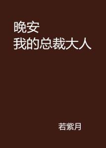 晚安总裁大人最新章节，都市精英生活的深度解读与探索