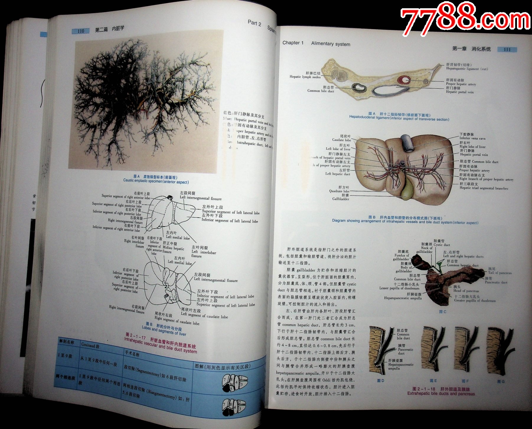 admin 第231页