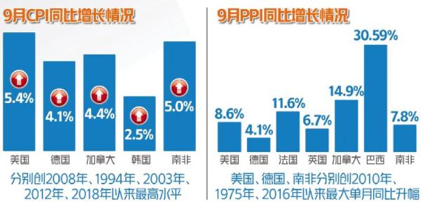 决策资料核心关注