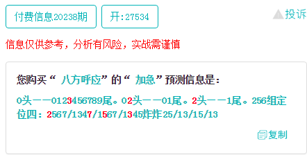 494949澳门今晚开什么454411,先进技术执行分析_Phablet88.213