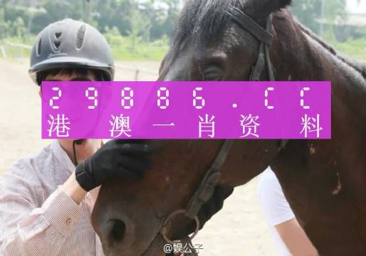 澳门今晚必中一肖一码准确9995,接头解答落实解释_定时款82.327