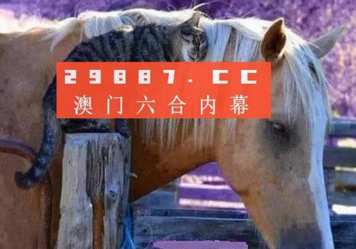 新澳门彩4949历史记录,专业解析解答解释现象_配套款49.73