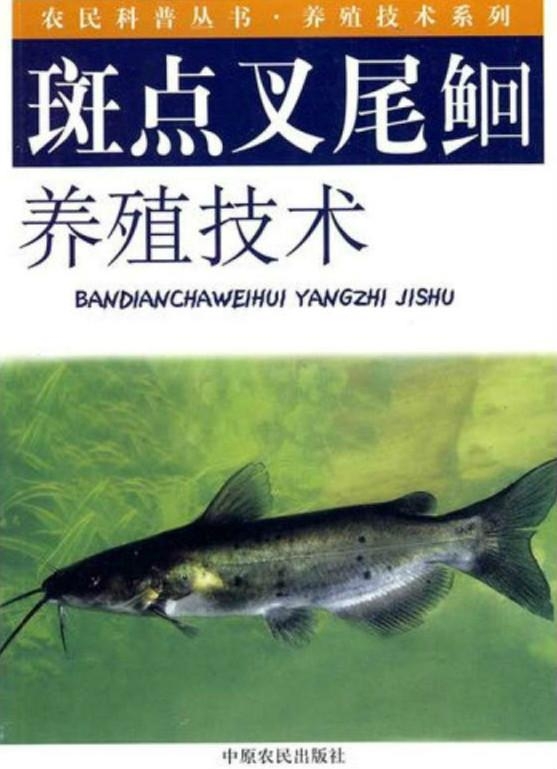 最新斑点叉尾鮰价格动态解析