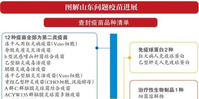 山东疫苗案最新信息深度剖析