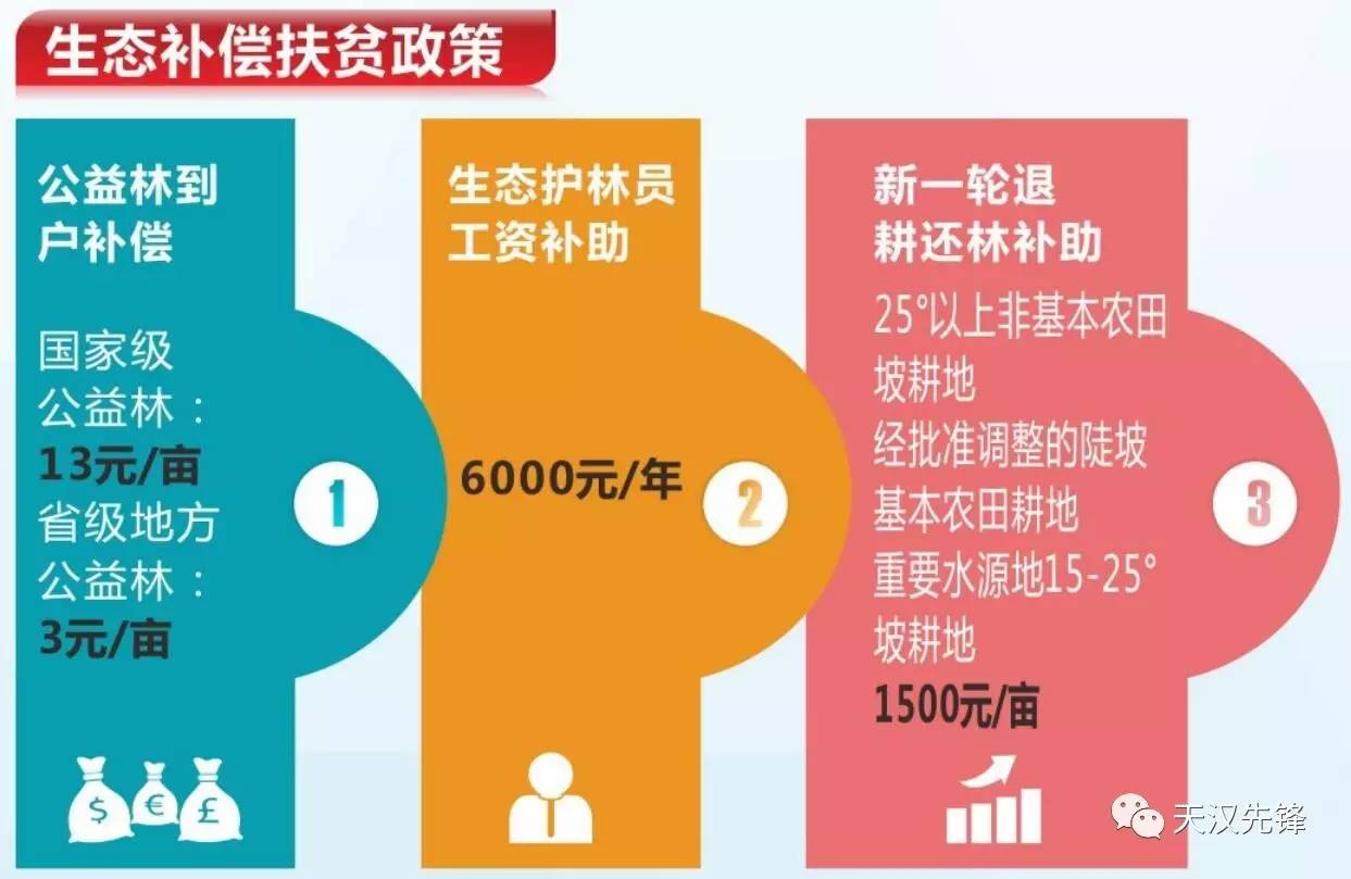 生态移民最新补助标准及其影响深度解析