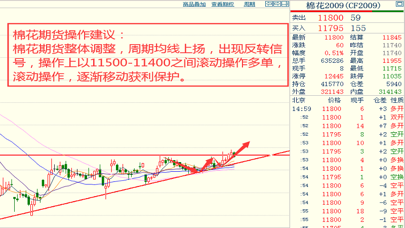 云南橡胶价格最新走势解析