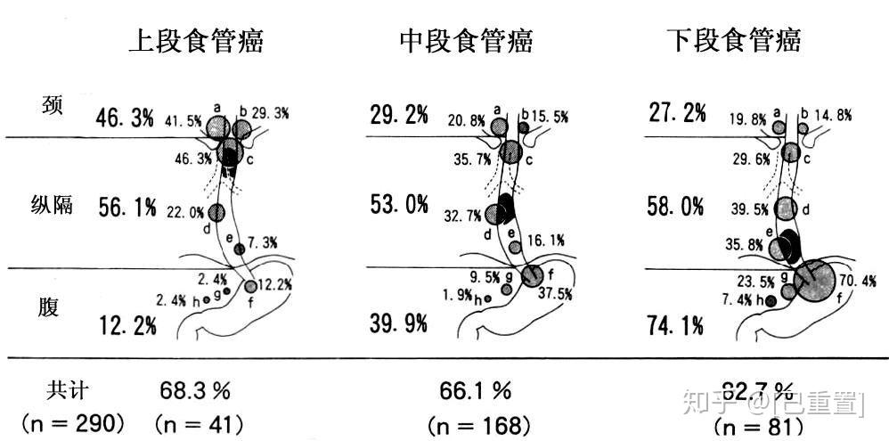 食管最新分段标准2017，新理念解读与实际应用探讨