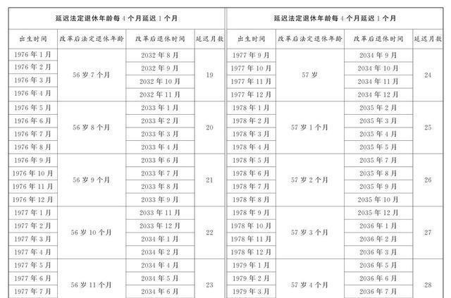 最新延退消息深度解析