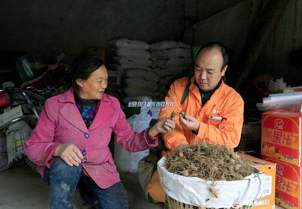 山鸡灯新款魅力与特色解析