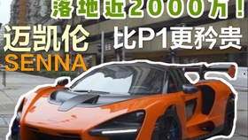 2024新澳门正版免费资本车,传统解答解释落实_Advanced8.219