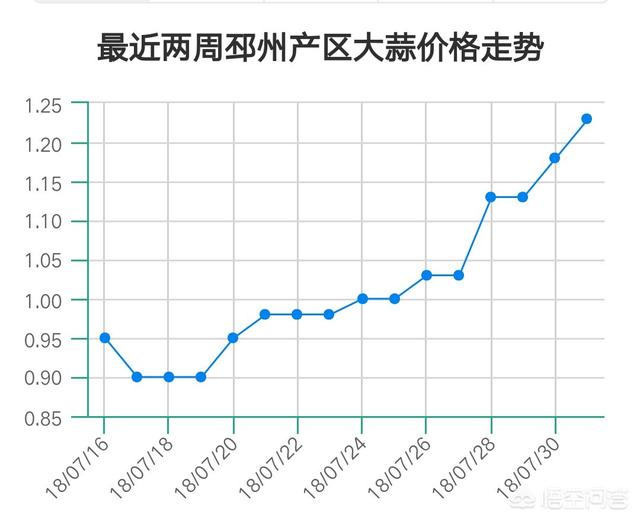 大蒜价格今日最新走势解析