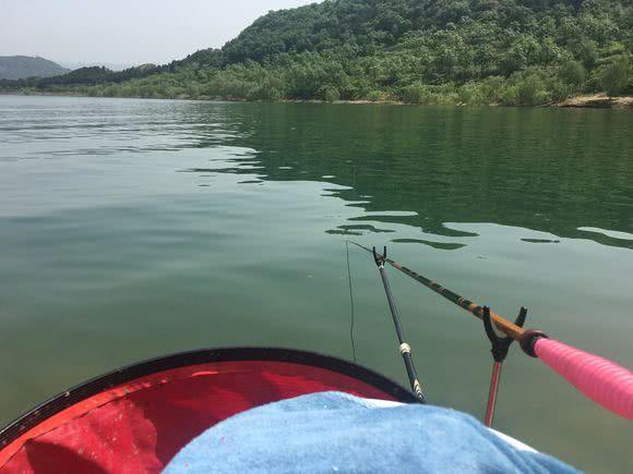 南宁最新钓场探索与体验之旅